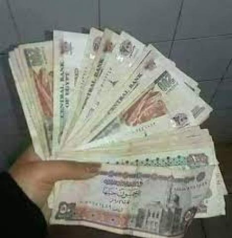 بوابة البرلمان