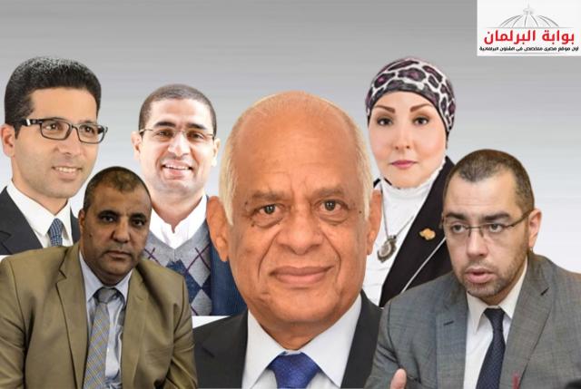 النائب محمد فؤاد
