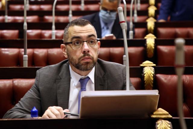النائب محمد فؤاد