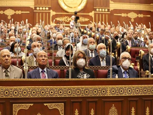بوابة البرلمان