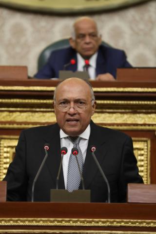 وزير الخارجية سامح شكرى
