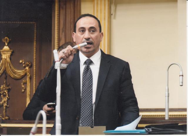 النائب محمد زين الدين