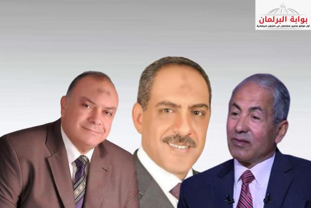 بوابة البرلمان