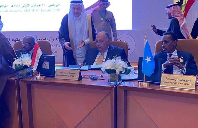 وزير الخارجية يوقع على ميثاق مجلس الدول العربية والإفريقية المطلة علي البحر الأحمر