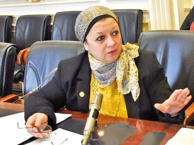 النائبة ماجدة نصر عضو لجنة التعليم بالبرلمان