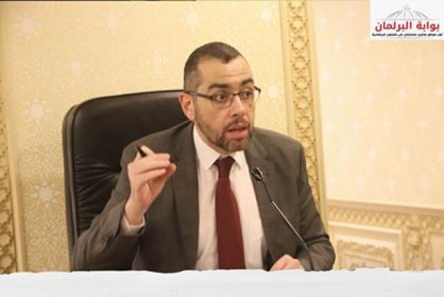 النائب محمد فؤاد- عضو مجلس النواب