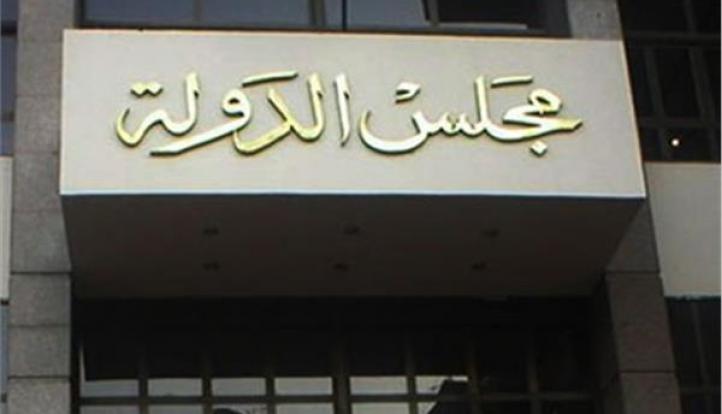 الإدارية العليا تبطل انتخابات دائرة الجيزة وإعادة التصويت فيها