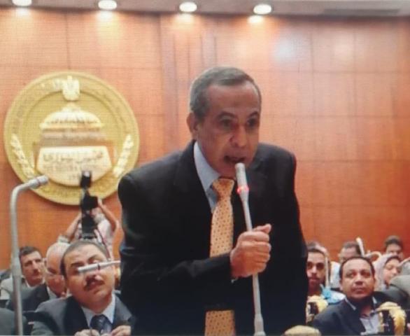 رسلان”: المصريون ألقوا بدعوات مقاطعة الانتخابات في ”الزبالة” | مجلس النواب  | بوابة البرلمان