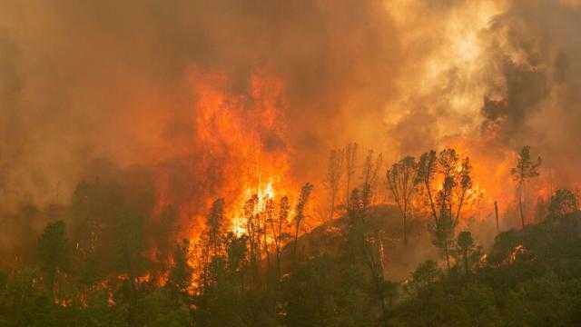 حريق هائل في أمريكا وإجلاء سكان مقاطعة كاملة