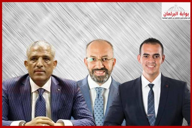 بوابة البرلمان