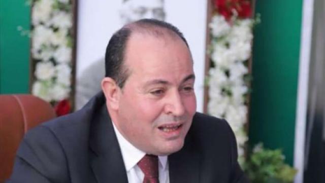  المهندس عبد الباسط الشرقاوي، مساعد رئيس حزب الوفد