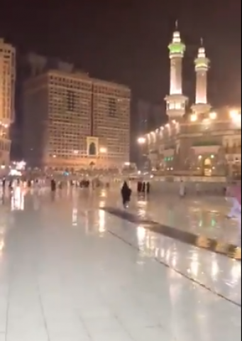 بوابة البرلمان