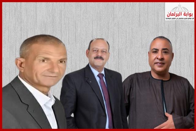 بوابة البرلمان