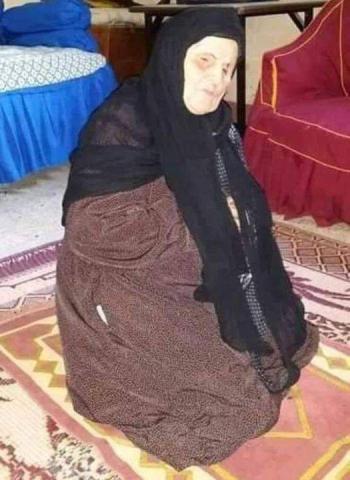 بوابة البرلمان