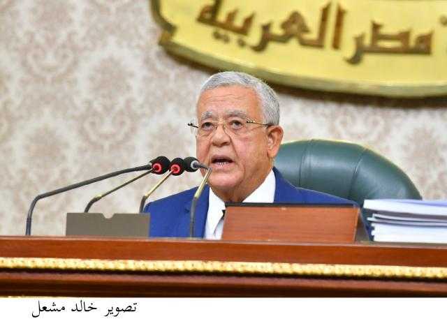 النواب يوافق على قرار جمهوري باتخاذ تدابير لمواجهة الإرهاب في سيناء