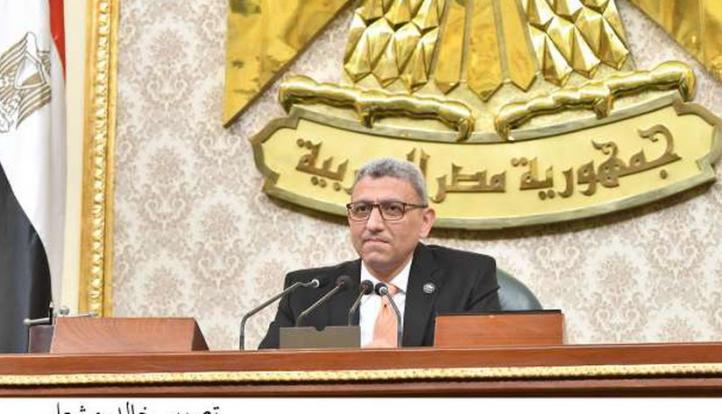 المستشار أحمد سعد الدين: المجلس يرفع أسمى آيات التقدير للرئيس لافتتاح المتحف المصرى
