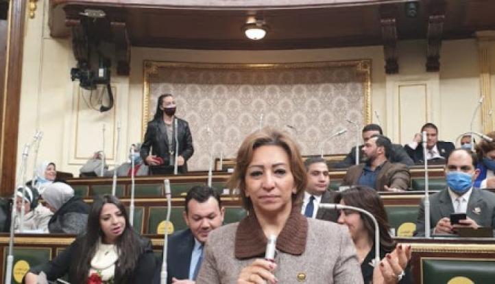 النائبة مها عبد الناصر: الهواتف المحمولة لم تعد سلعة ترفيهية بل أصبحت ضرورة أساسية في ظل التحول الرقمي