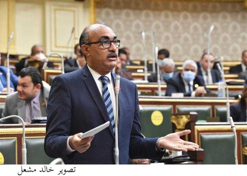 النائب إيهاب منصور: تشكيل مجلس النواب يعكس اختيار الشعب وتمثيل المعارضة غير كاف