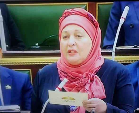 النائب حنان عبد المنعم