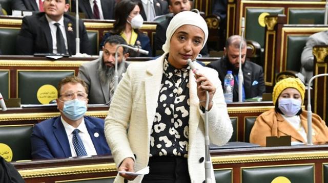 النائبة أميرة أبوشقة