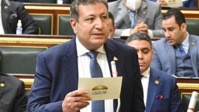 المهندس طارق شكري-