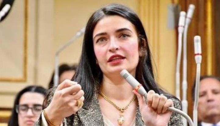 إيرين سعيد تتقدم بطلب إحاطة بشأن أزمة “وقف المنان”: 3 محافظات تواجه شللًا بسبب منشور الشهر العقاري
