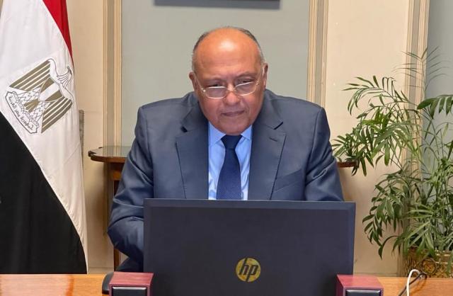 سامح شكري وزير الخارجية