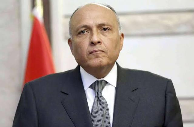سامح شكري وزير الخارجية