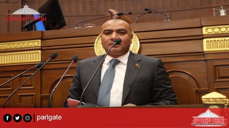 النائب محمد أبو حجازي عضومجلس الشيوخ