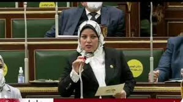 النائبة سلمى مراد