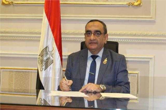 برلمانية حماة الوطن : ثورة 30 يونيو  حولت مصر لدولة حديثة متماسكة  تصون أمنها القومي