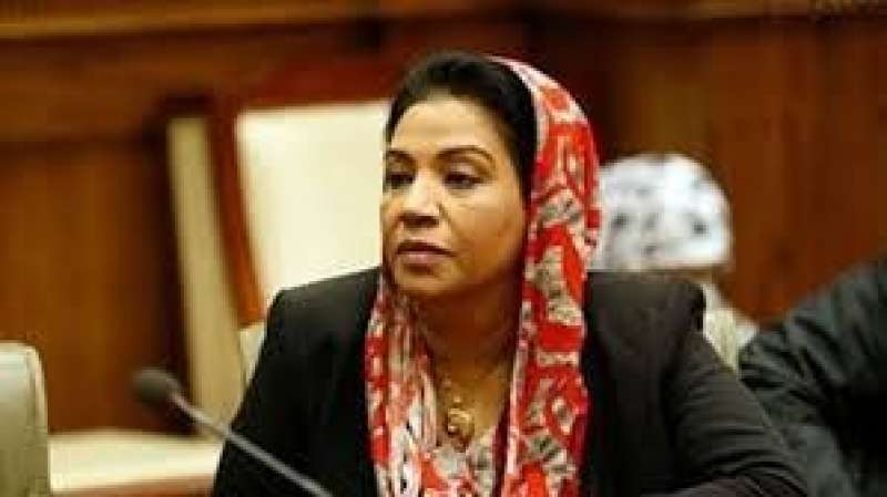 بوابة البرلمان