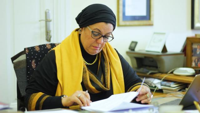 نيفين الطاهري- عضو لجنة الاقتصاد بمجلس النواب