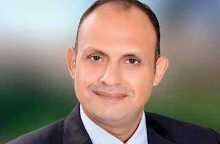 النائب هشام الجاهل: لا وصاية على مصر في شئونها الداخلية