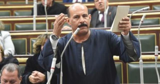 النائب فتحي قنديل