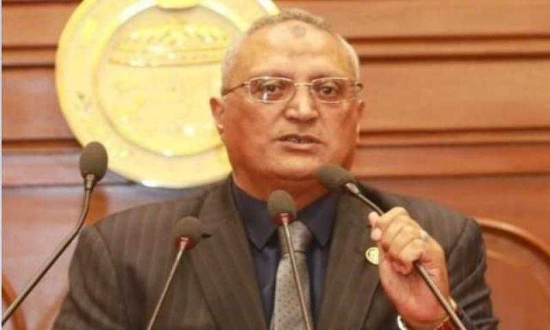 أبو عايشة: حفظ قضايا التمويل الأجنبي قرار جريء يحسب للدولة المصرية