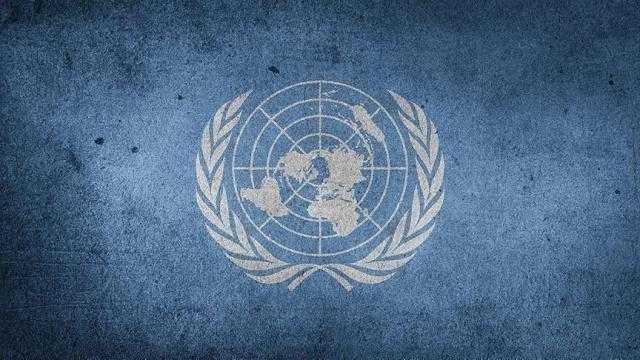 الأمم المتحدة تدين هجوما أسفر عن استشهاد جنديين مصريين من قوات حفظ السلام بمالى
