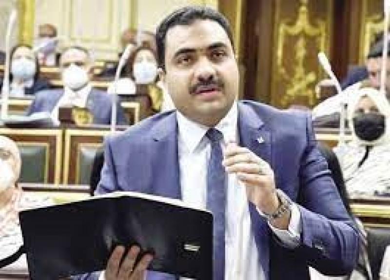 النائب محمود قاسم