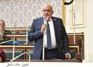 النائب سيد حنفي ﻿: مصر والسعودية دورهما مهم لتحقيق حلم الوحدة العربية