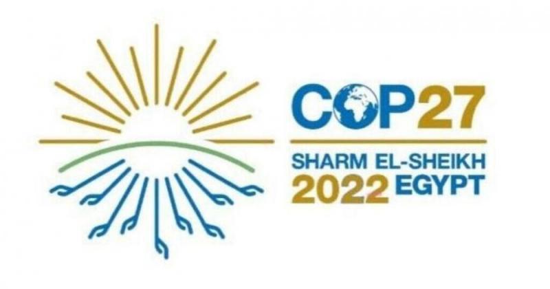 بوابة البرلمان