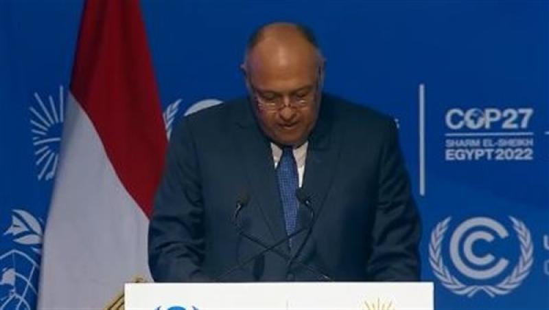 وزير الخارجية سامح شكري