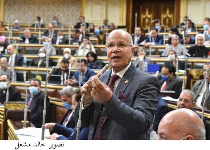 برلماني : تعرض مصر للإفلاس بسبب الديون اكذوبة اطلقتها قوى الشر والظلام والارهاب
