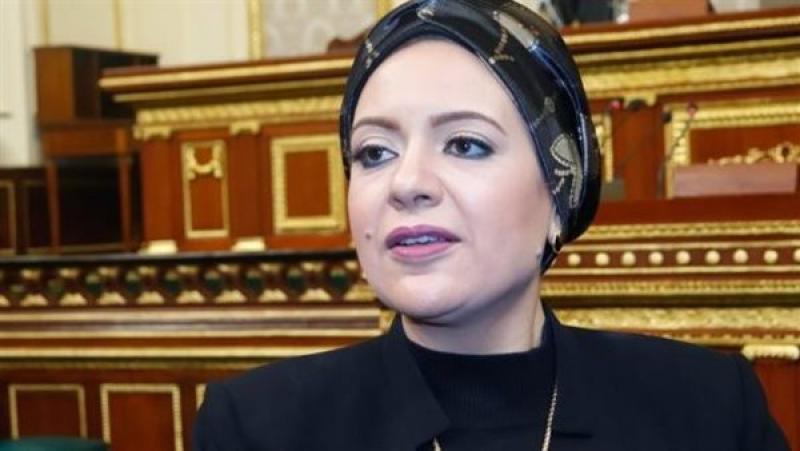 النائبة ريهام عبدالنبي