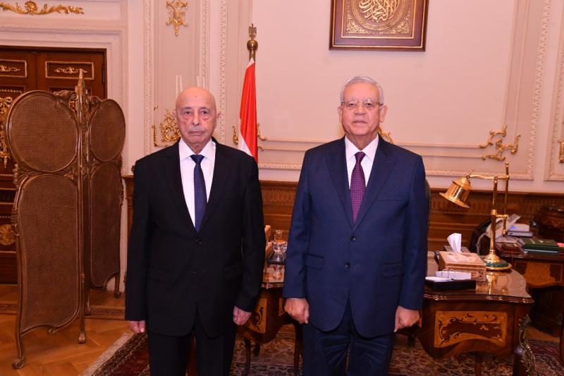 بوابة البرلمان