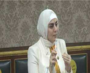 النائبة رحاب موسى: لقاء السيسي وبن زايد يهدف لخلق فرص جديدة للتعاون المشترك