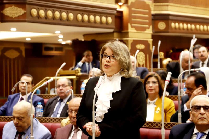 بوابة البرلمان