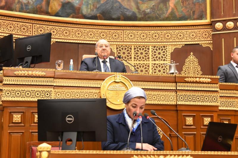 بوابة البرلمان