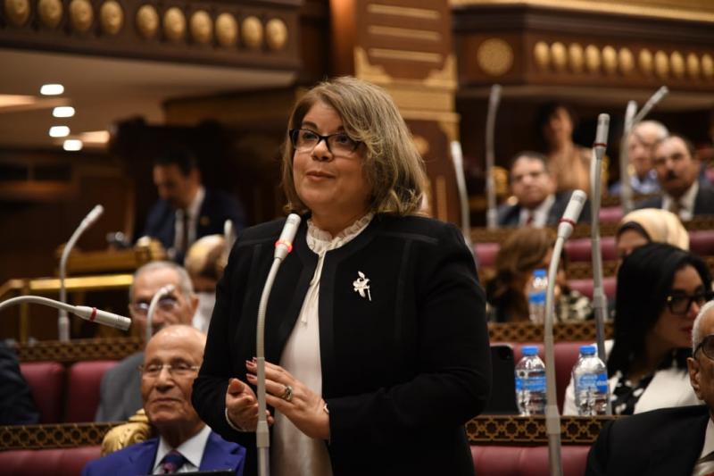 بوابة البرلمان