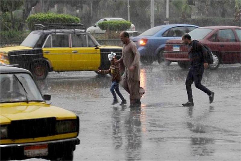 بوابة البرلمان