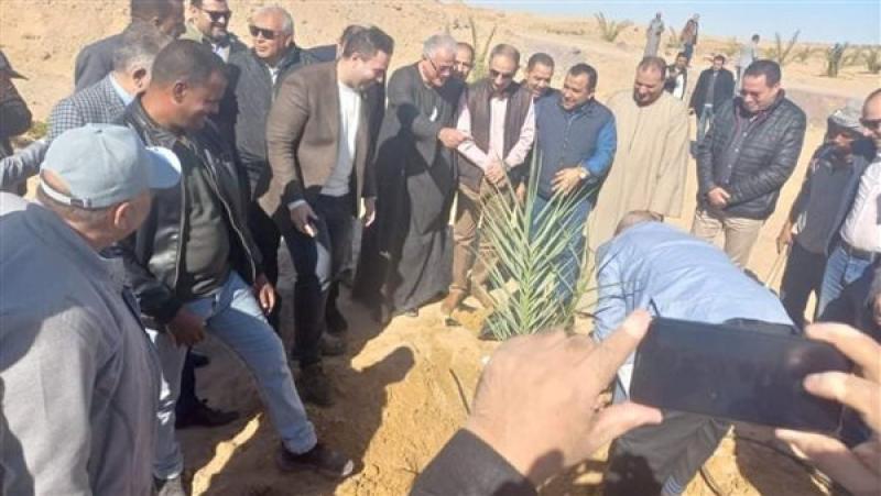 بوابة البرلمان